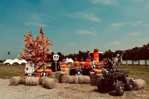 Kiếm bộn tiền nhờ tìm được 'long mạch' kinh doanh du lịch dã ngoại ở Hà Nội