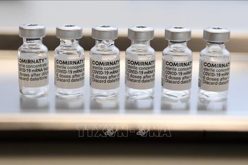 Pfizer và BioNTech công bố kết quả thử nghiệm vaccine kết hợp ngừa COVID-19 và cúm