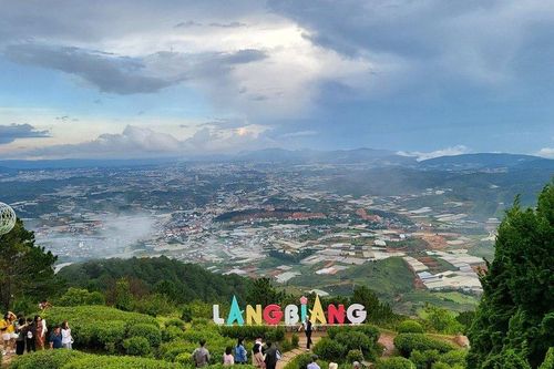 Nữ du khách Hàn Quốc tử vong do gặp tai nạn tại KDL Langbiang