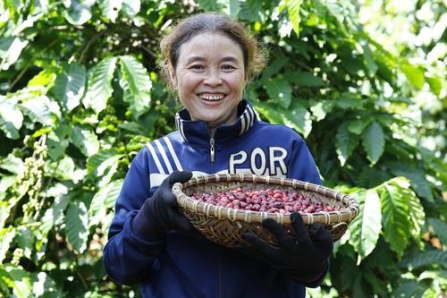 Nâng cao vai trò của phụ nữ trong toàn chuỗi cung ứng