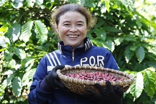 Nâng cao vai trò của phụ nữ trong chuỗi cung ứng từ kinh nghiệm của Nestlé