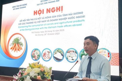 Xuất khẩu cà rốt: Nhiều tín hiệu tích cực