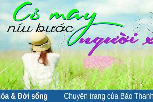 Cỏ may níu bước người xa