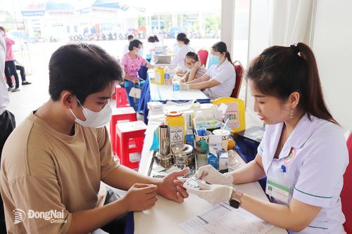 Vượt khó bám nghề