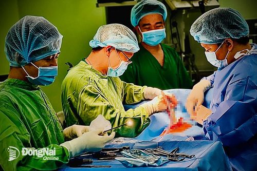 Tránh chó thả rông, một người bị té gãy nhiều xương sườn, tràn khí màng phổi