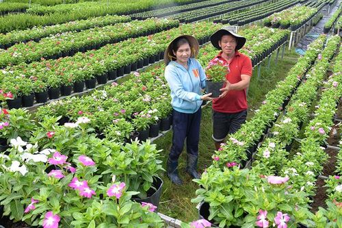 Phát huy ý chí tự lực vươn lên của người dân Sa Đéc