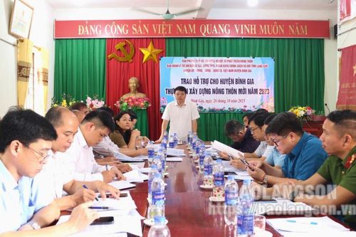 Kiểm tra xây dựng nông thôn mới tại huyện Bình Gia