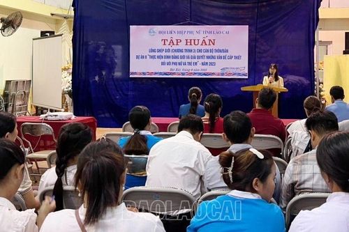 Hoàn thành chỉ tiêu năm 2023 về tập huấn về lồng ghép giới (Chương trình 3) của Dự án 8