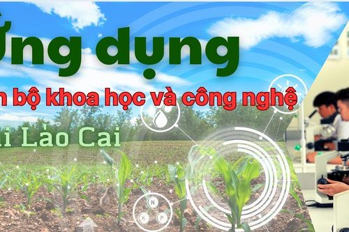 Ứng dụng tiến bộ khoa học và công nghệ tại Lào Cai