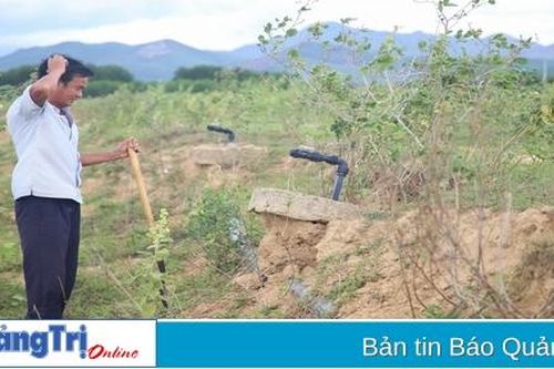 Ngổn ngang Dự án Hệ thống thủy lợi Ba Hồ - Bản Chùa. Bài 2: Cây trồng 'khát' nước bên hệ thống tưới nước...bỏ không!