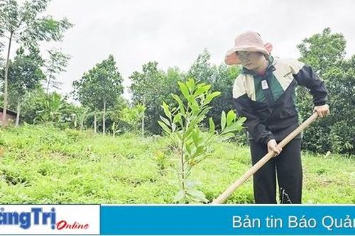 Nan giải vấn đề bố trí việc làm cho người học diện cử tuyển