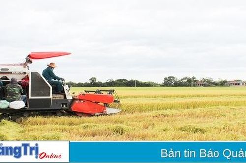 Hải Lăng đẩy mạnh cơ cấu lại ngành nông nghiệp gắn với xây dựng nông thôn mới