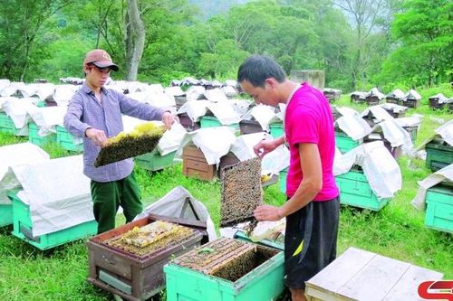 Thêm lực giúp Suối Bau giảm nghèo