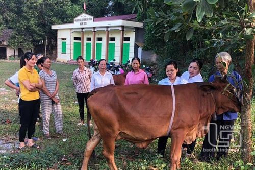 Phú Bình: Đào tạo nghề cho 175 nông dân nghèo