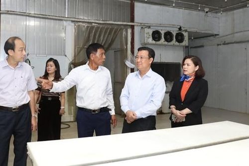 Hà Nội: Tạo mọi điều kiện thuận lợi để doanh nghiệp tiếp cận nguồn lao động