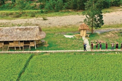 Nương tựa vào thiên nhiên giúp HTX giải bài toán đầu tư hạ tầng cho farmstay