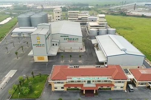 Cổ phiếu DBC giảm sàn sau khi Dabaco báo lãi giảm sâu