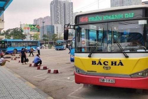 Ngân hàng rao bán 37 chiếc xe buýt Bắc Hà để thu hồi nợ xấu