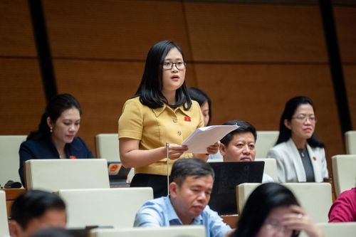 Đại biểu Quốc hội băn khoăn quy định TLĐ Lao động làm nhà ở xã hội