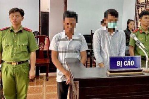 Xét xử các bị cáo đánh bạc bằng máy game bắn cá