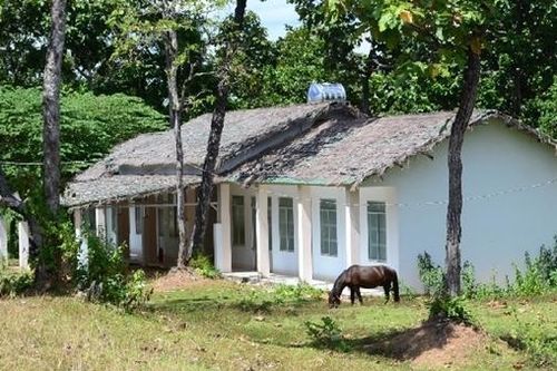 Tạm giam cựu phó trưởng phòng Công ty Cao su Đắk Lắk