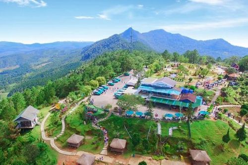 Tự ngã trong lúc chụp hình ở Langbiang, nữ du khách tử vong