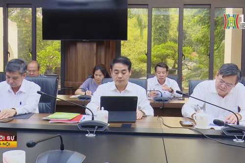 Festival quốc tế ngành hàng lúa gạo Việt Nam 2023