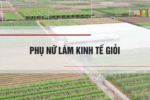 Phụ nữ làm kinh tế giỏi | Nông nghiệp nông thôn | 26/10/2023