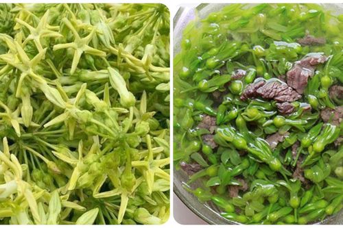 5 tác dụng tuyệt vời của hoa thiên lý đối với sức khỏe