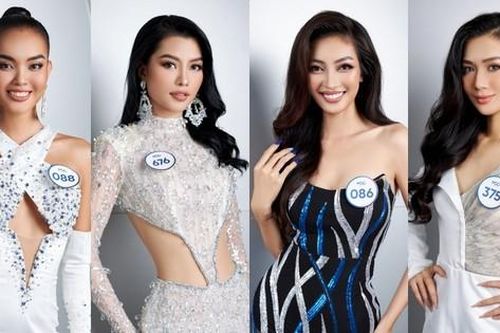 Top 59 Miss Cosmo Vietnam 2023 hội tụ từ võ sĩ đến doanh nhân, thủ khoa Đại học