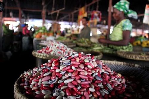 Giải pháp cho an ninh lương thực châu Phi