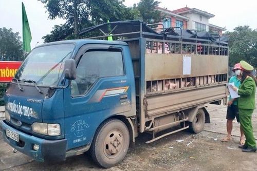 Hà Nội sẽ kiểm soát dịch bệnh động vật đến tận thôn, xóm, hộ chăn nuôi