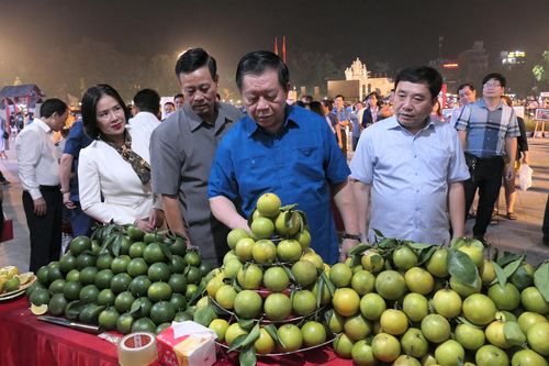 Trưởng Ban Tuyên giáo Trung ương dự khai mạc Không gian trưng bày sản phẩm vùng Đông Bắc