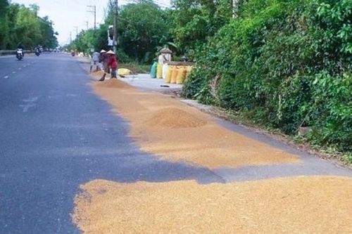 Mức phạt tội cản trở giao thông đường bộ