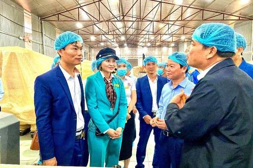 Khai phá tiềm năng nông nghiệp hữu cơ vùng núi phía Bắc - Bài 2: Lực đẩy từ hệ thống chính trị cơ sở