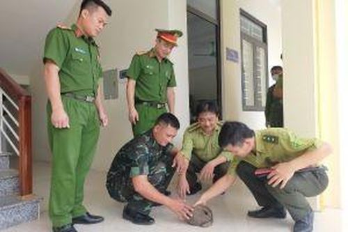 Bắt được cá thể tê tê, người dân tự giác giao nộp