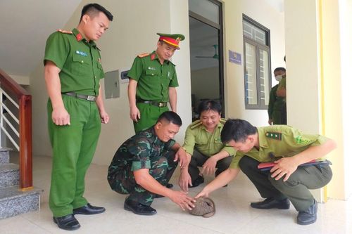 Người dân tự nguyện giao nộp động vật quý hiếm