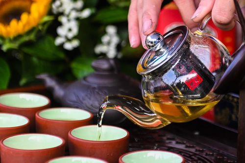 Các nghệ nhân trổ tài pha trà Shan tuyết ở Hà Giang