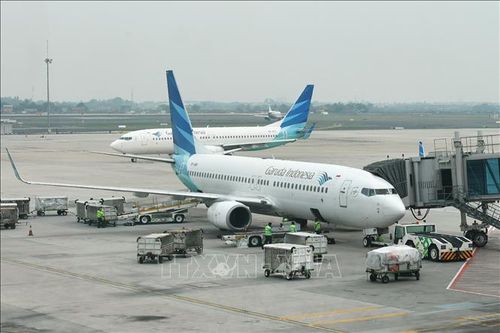 Indonesia: Chuyến bay thương mại đầu tiên sử dụng nhiên liệu phản lực pha dầu cọ