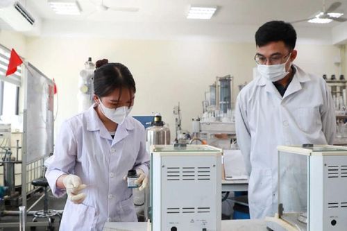 Bản tin 27/10: Một trường đại học Việt Nam có 8 nhóm lĩnh vực được xếp hạng thế giới