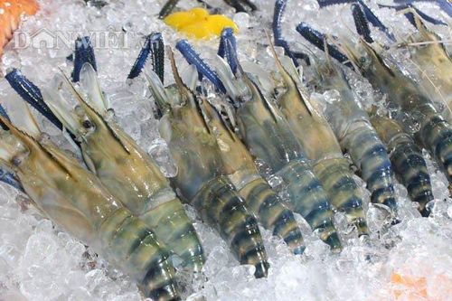 Thách thức với ngành tôm và bài toán tăng vị thế cạnh tranh