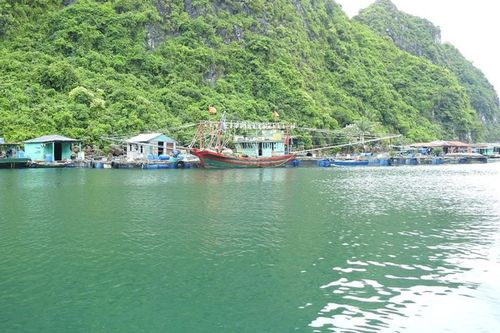 Quảng Ninh: Phương tiện gắn máy bị cấm hoạt động tại làng chài Cửa Vạn