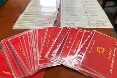Khởi tố thêm 4 đối tượng trong vụ làm bằng giả tại Đại học An Giang