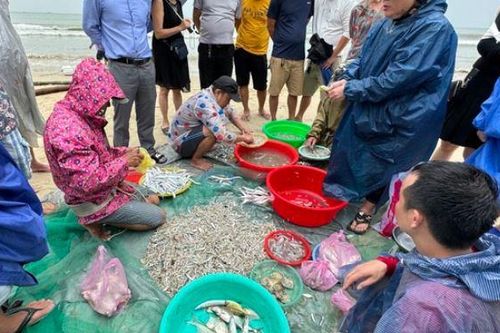 Độc đáo cảnh kéo lưới gần bờ của ngư dân Đà Nẵng mùa biển động