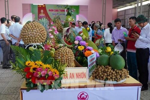 Lần đầu tiên tổ chức Ngày hội Nhãn Châu Thành (Đồng Tháp)
