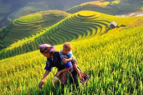 Mù Cang Chải: Phụ nữ người Mông còn nhiều vất vả với lao động sản xuất thủ công