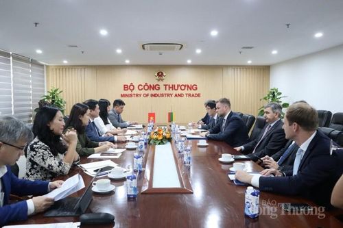 Việt Nam và Lithuania: Tận dụng Hiệp định EVFTA xuất nhập khẩu mặt hàng có thế mạnh
