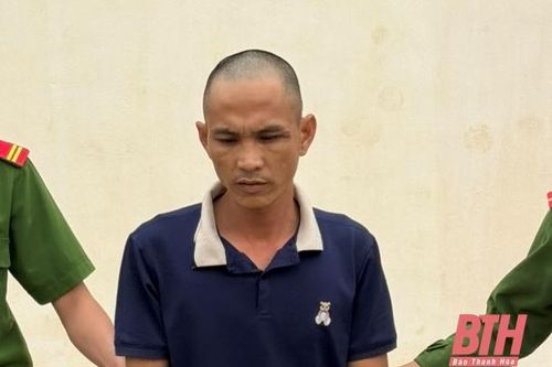 Bắt giữ đối tượng liên tiếp gây ra 3 vụ trộm cắp tài sản