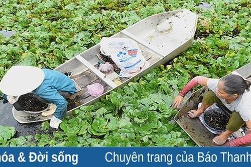 Nham Thôn, nét quê hồn làng