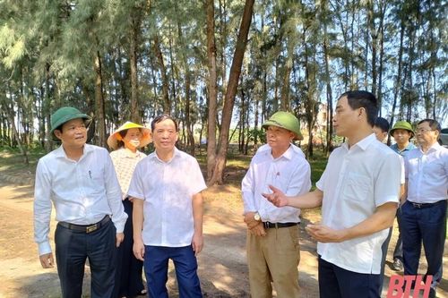 TP Sầm Sơn thực hiện bài bản, quyết liệt các nghị quyết, kết luận của HĐND tỉnh và Thường trực HĐND tỉnh